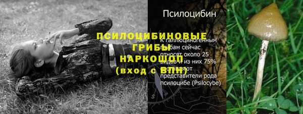 трава Алзамай
