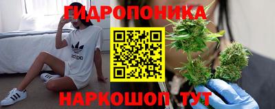 индика Тверь