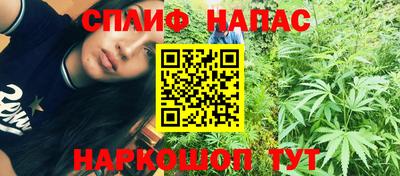 индика Тверь