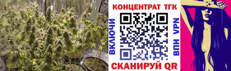 дарнет шоп  Петрозаводск  Дистиллят ТГК жижа 