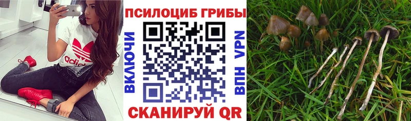 Галлюциногенные грибы мухоморы  KRAKEN ссылки  Петрозаводск 