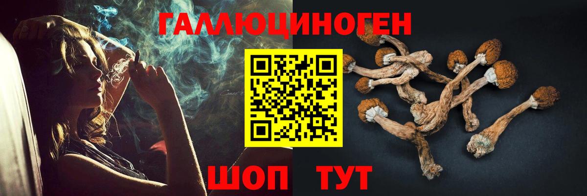 Петрозаводск  Псилоцибиновые грибы мухоморы  Вход с VPN 